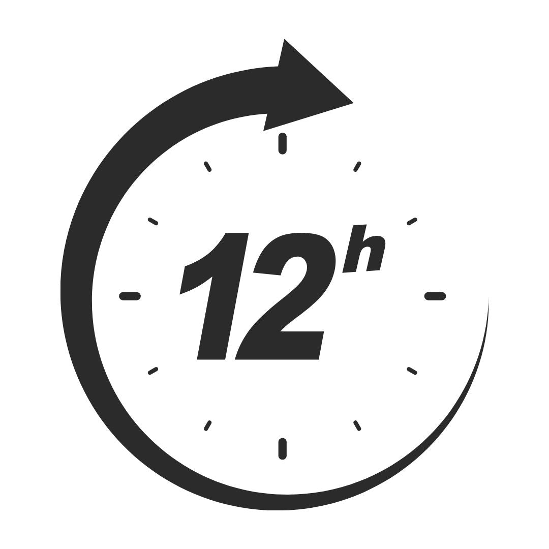 Song Express-Fertigstellung in 12 Stunden